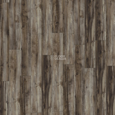 Ламинат Kronotex Robusto 12мм d6006 Клен Каньон Темный фото 3 | FLOORDEALER