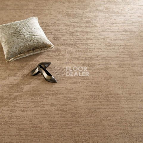 Ковролин Balsan Territoires Sierra Sierra фото 1 | FLOORDEALER
