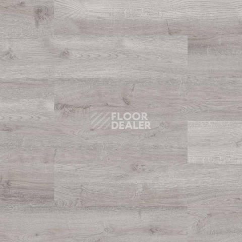 Пробковое покрытие Wood Go LJUX001  Oak Light Gris фото 1 | FLOORDEALER