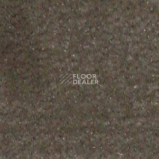 Ковролин Shaw all That Jazz 21323 фото 1 | FLOORDEALER