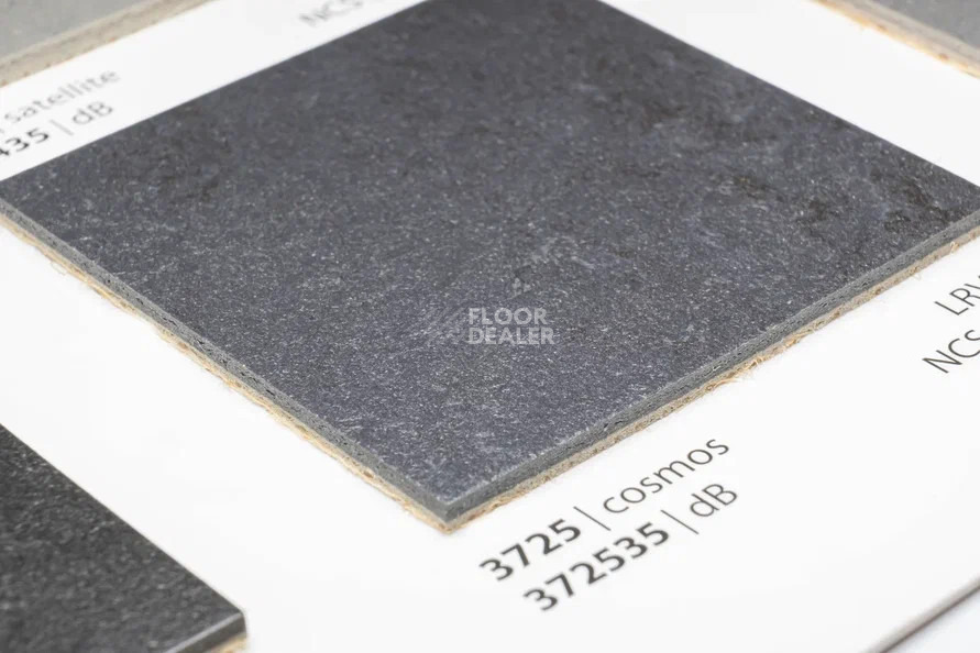 Forbo Marmoleum Solid Concrete 3725 cosmos фото 2 | FLOORDEALER