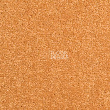 Ковровая плитка Modulyss Cambridge 213 фото 1 | FLOORDEALER