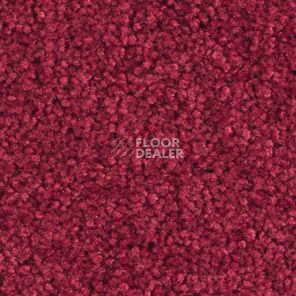 Ковролин Balsan Bolero roll 570 фото 1 | FLOORDEALER