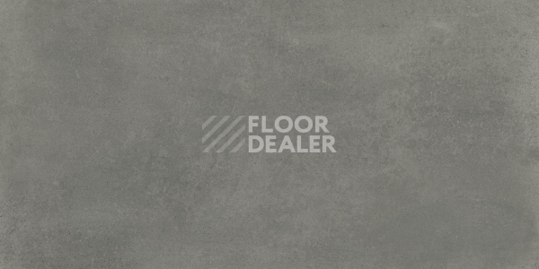 Керамогранит Evo Evo Grey 60120 Rec 60x120 фото 1 | FLOORDEALER