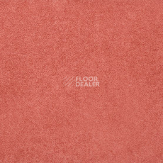 Линолеум Gerflor Taralay Initial Compact (Plain & allover look) 0951 Miami Litchee фото 1 | FLOORDEALER