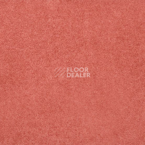 Линолеум Gerflor Taralay Initial Compact (Plain & allover look) 0951 Miami Litchee фото 1 | FLOORDEALER