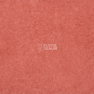 Линолеум Gerflor Taralay Initial Compact (Plain & allover look) 0951 Miami Litchee фото 1 | FLOORDEALER