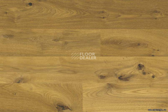 Wood Xl Oak  Knotty фото 4 | FLOORDEALER