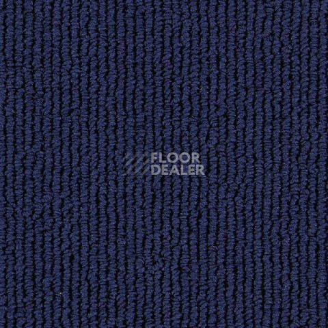Ковролин Edel Gloss 181 фото 1 | FLOORDEALER