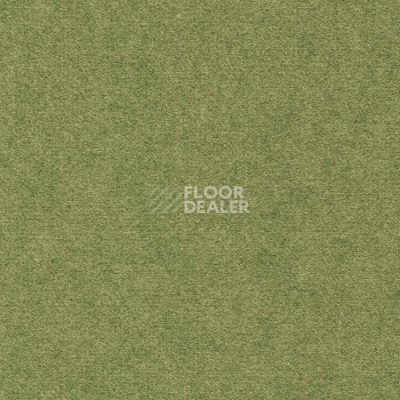 Ковролин Finett Feinwerk 603503 фото 1 | FLOORDEALER