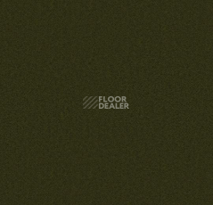 Ковролин Forbo Showtime Nuance 900218 фото 1 | FLOORDEALER