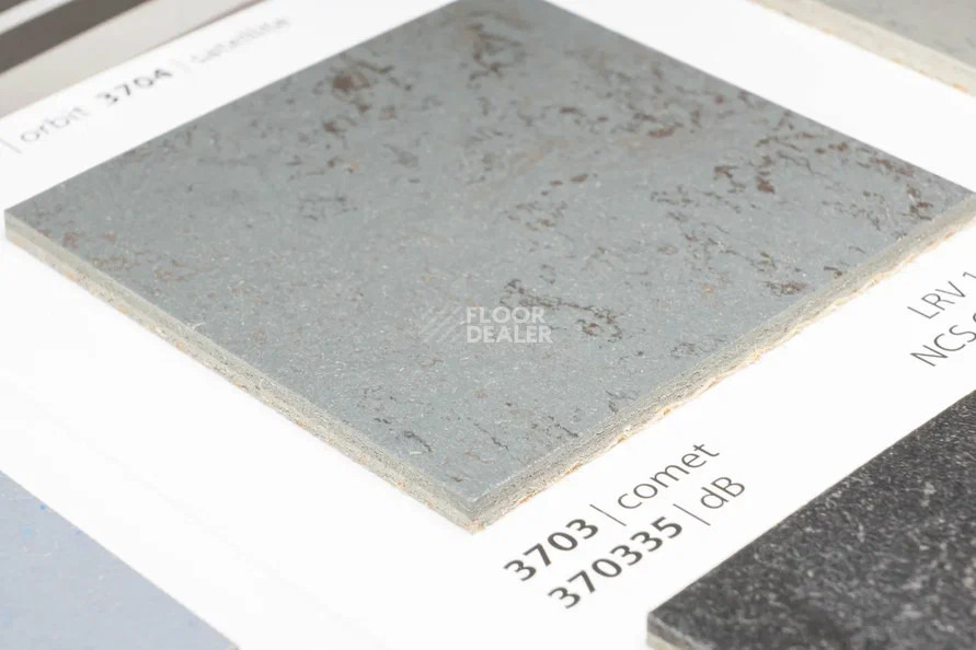 Forbo Marmoleum Solid Concrete 3703 comet фото 2 | FLOORDEALER
