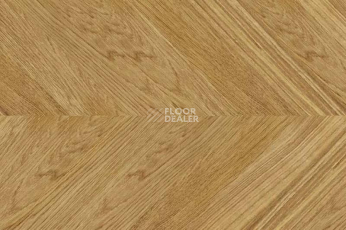 Пробковое покрытие Chevron Chevron Gold фото 1 | FLOORDEALER