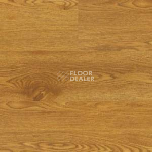 Линолеум Polyflor Expona Wood 6138 фото 1 | FLOORDEALER