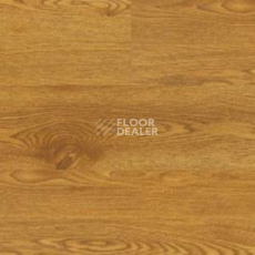 Линолеум Polyflor Expona Wood 6138 фото 1 | FLOORDEALER