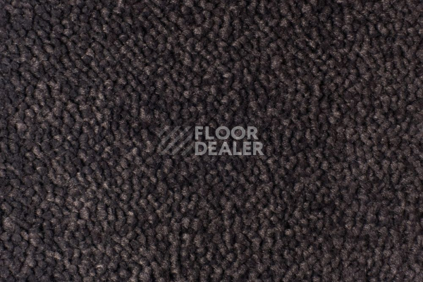 Ковролин Edel Vanity 193 фото 1 | FLOORDEALER