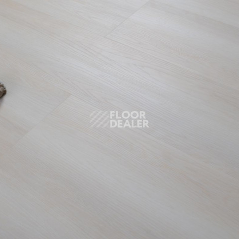 Evofloor Optima Click 4.2мм Дуб Сишел фото 5 | FLOORDEALER