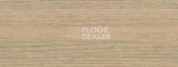 Плинтус Dollken EP 60/13 2694 фото 2 | FLOORDEALER