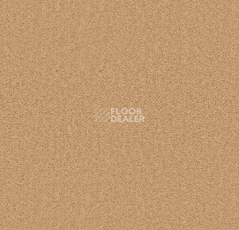 Ковролин Forbo Showtime Nuance 900203 фото 1 | FLOORDEALER