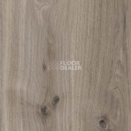 Parador Basic Plus 400 1744347 Дуб Базальтовый Серый фото 2 | FLOORDEALER