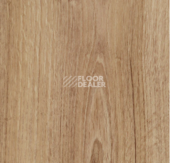 Кварцвиниловые полы Forbo allura decibel 0.8 wood 5204AD8 classic authentic oak (100x20 cm) фото 1 | FLOORDEALER