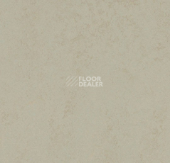 Линолеум Forbo Marmoleum Solid Concrete 3760/376035 dust фото 1 | FLOORDEALER