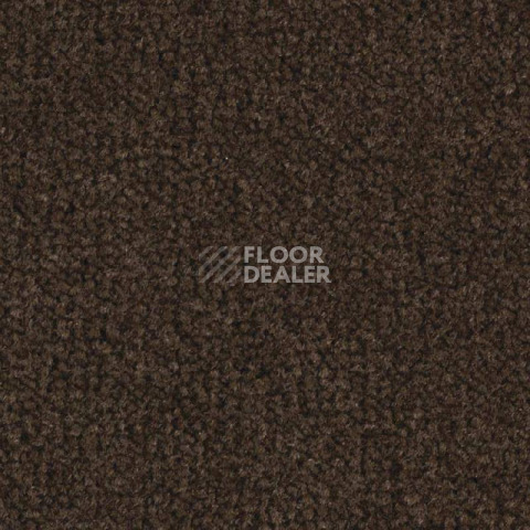 Ковролин Balsan Luxe 793 фото 1 | FLOORDEALER