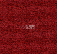 Грязезащитные покрытия Forbo Coral Classic 4763 Ruby Red фото 1 | FLOORDEALER