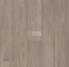 Линолеум Forbo Eternal Original 68962 grey oak фото 1 | FLOORDEALER