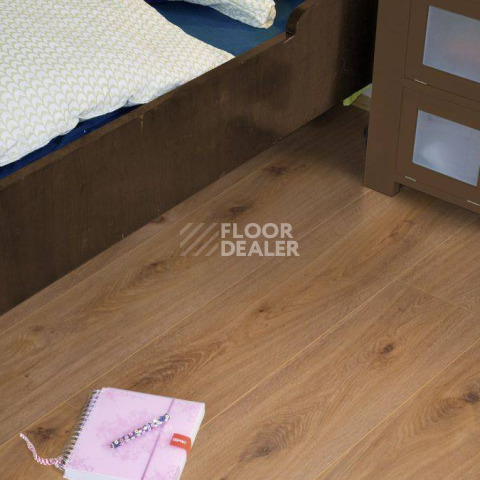 Kronotex Exquisit 8мм d4169 Дуб Престиж Светлый фото 7 | FLOORDEALER