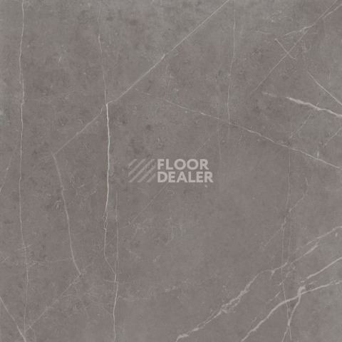 Nolana ( Нолана ) 60 x 60 x10 NL03 фото 9 | FLOORDEALER