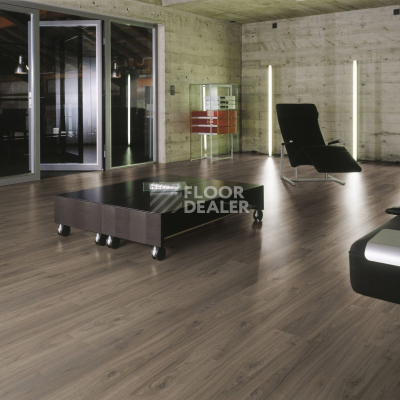 Ламинат Kronotex Dynamic Plus d4757 Canyon Authentic Walnut фото 3 | FLOORDEALER