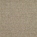 Ковролин Carpet Concept Yve 1 6501  | FLOORDEALER