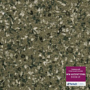Линолеум Tarkett Acczent Terra CH 235 27  | FLOORDEALER