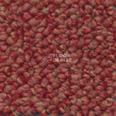 Ковролин Dura Loop 430 фото 1 | FLOORDEALER