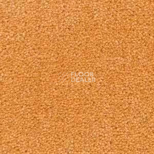 Ковролин Radici Montecarlo 97 фото 1 | FLOORDEALER