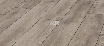 Ламинат Kronotex Exquisit 8мм d4985 Дуб Восточный Серый фото 1 | FLOORDEALER