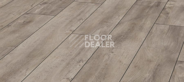 Ламинат Kronotex Exquisit 8мм d4985 Дуб Восточный Серый фото 1 | FLOORDEALER