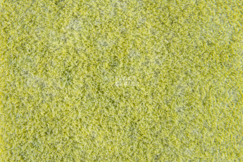 Forbo Flotex Colour Calgary 50*50 t 590014 Calgary Lime фото 2 | FLOORDEALER