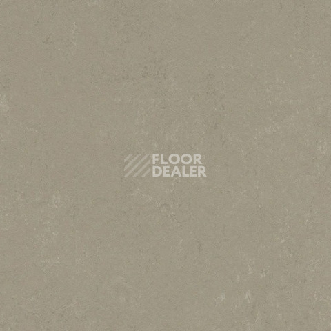 Линолеум Forbo Marmoleum Solid Concrete 3759 Mercury фото 1 | FLOORDEALER