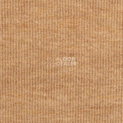 Ковролин Tapibel Nataly 3504 фото 1 | FLOORDEALER