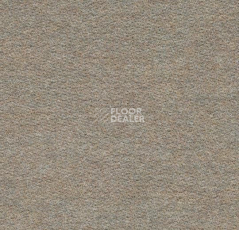 Ковролин Forbo Flotex wonderlab 07 900263 Sable фото 1 | FLOORDEALER