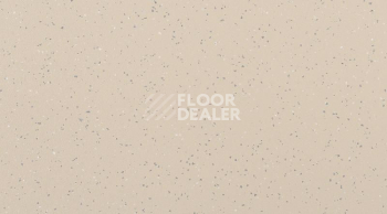 Кварцвиниловые полы Gerflor Attraction Connect 635 x 635 INDIANA_4343_Tokelau фото 1 | FLOORDEALER