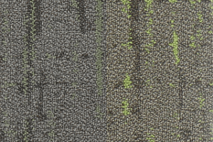 Ковровая плитка Neuflor Autumn Woods 601003 New Leaf Mix фото  | FLOORDEALER