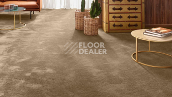 Vorwerk Exclusive 1060 Safira 7g63 фото 2 | FLOORDEALER