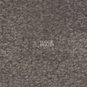 Ковролин Shaw Bradberry 30 872 фото 1 | FLOORDEALER