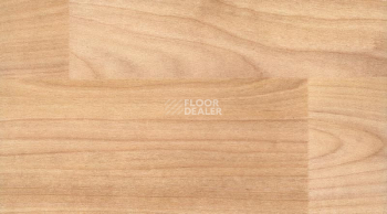 Линолеум Gerflor Taraflex Surface Wood 6350_Light_Cherry_Design фото 1 | FLOORDEALER