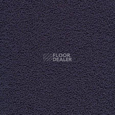 Ковролин Desso Marathon 8801 фото 1 | FLOORDEALER