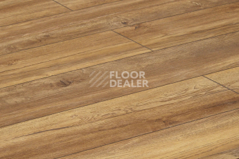 Alix Floor Regista 8мм D1873 Дуб Терра фото 3 | FLOORDEALER
