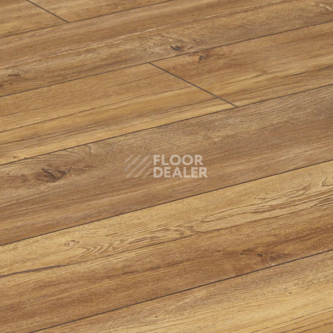 Alix Floor Regista 8мм D1873 Дуб Терра фото 3 | FLOORDEALER